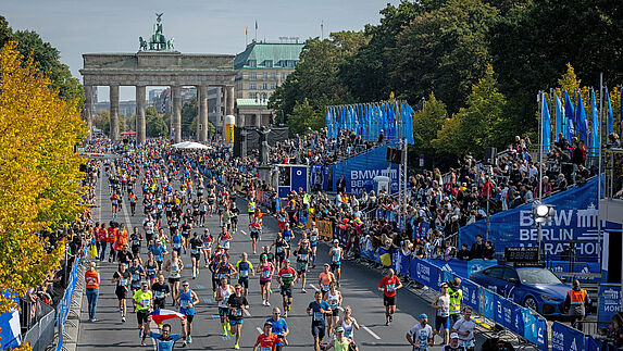 Shortly behind the Brandenburg Gate, the finishers of the BMW BERLIN MARATHON run past the spectator stands to the finish line. 