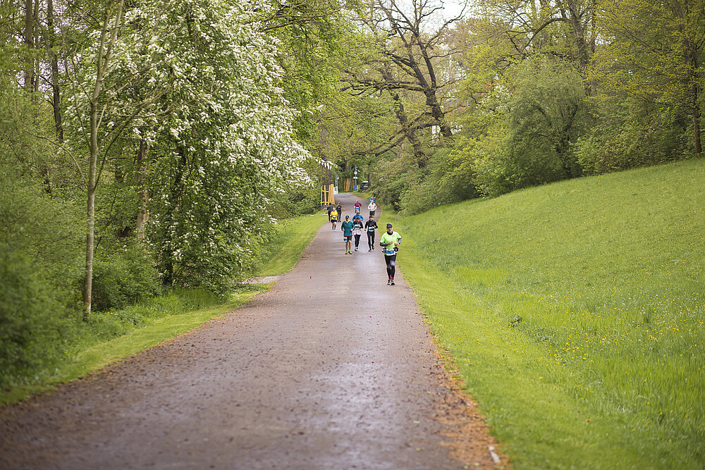 Ein Meer von Grün im Park Ilm.